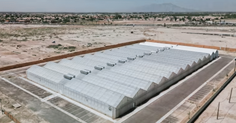 Green Horizons of Modern Cannabis Marketing