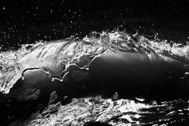 fusion momentum digital crest 3669860592