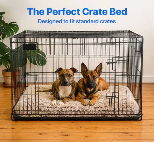 How to Choose the Right Memory Foam Dog Bed for Every Breed 